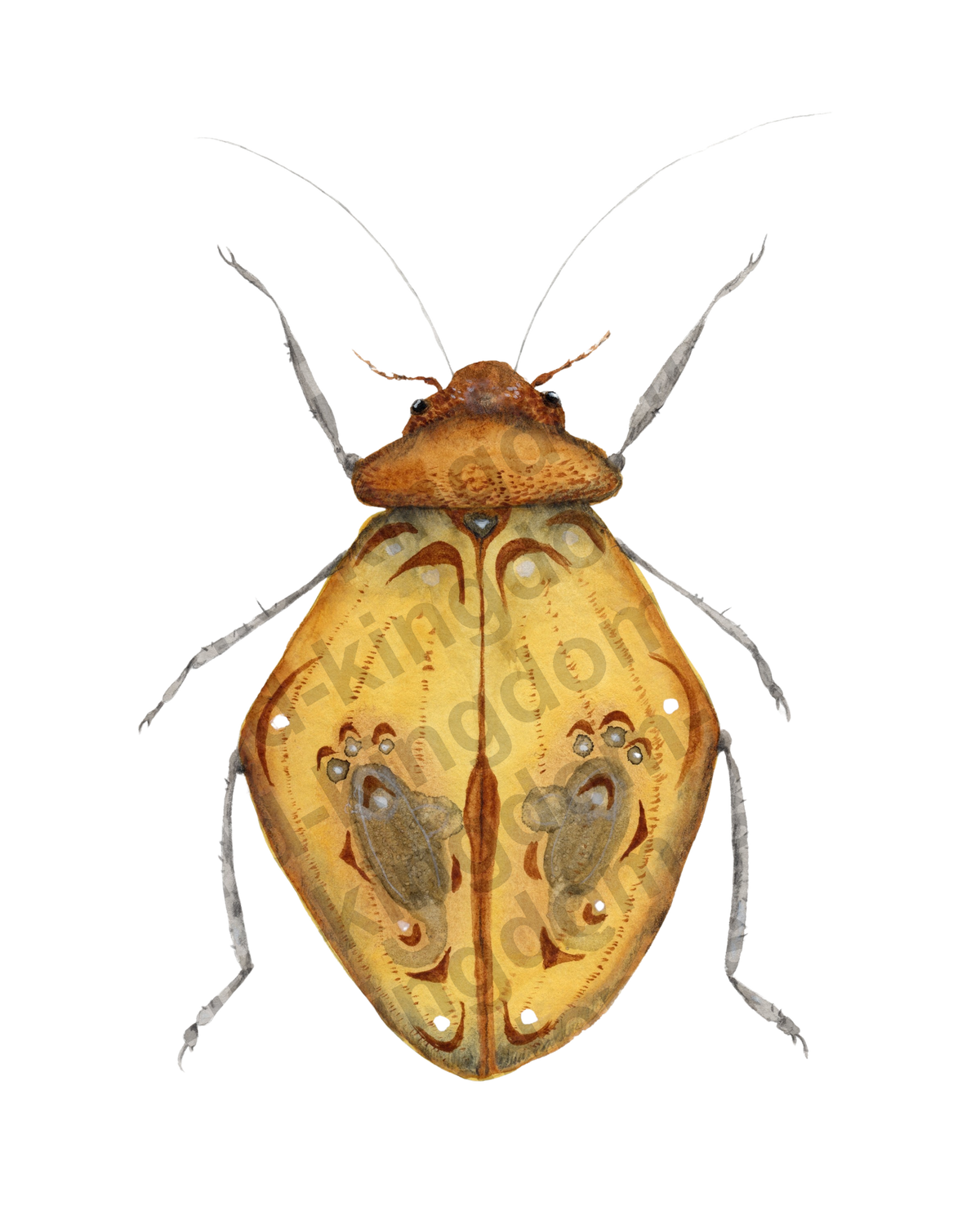 bug#0176 - card