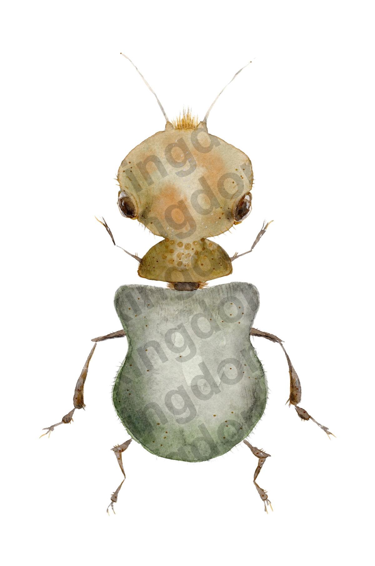 bug#0177 - card