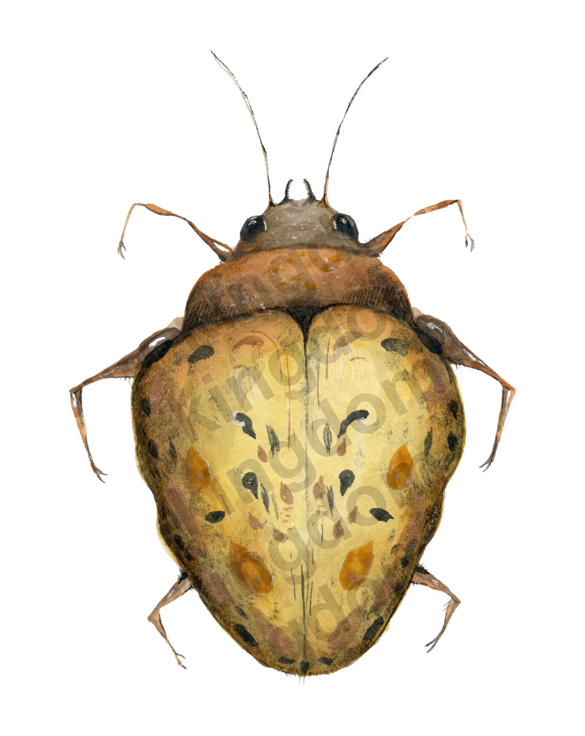 bug#0179 - card