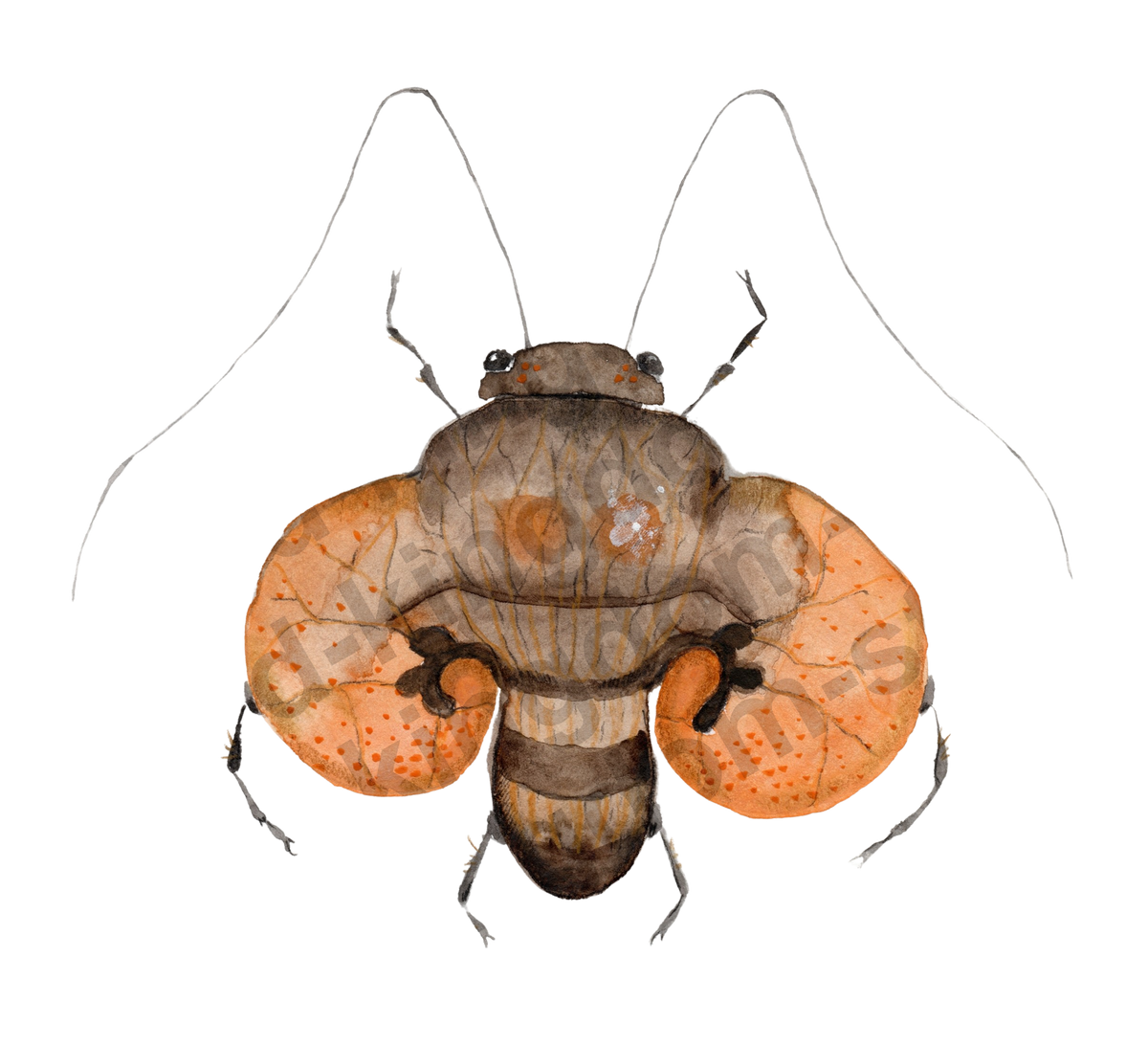 bug#0180 - card