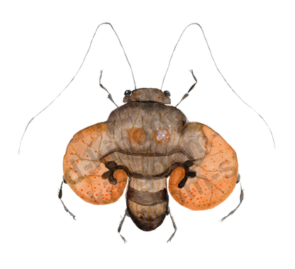 bug#0180 - card