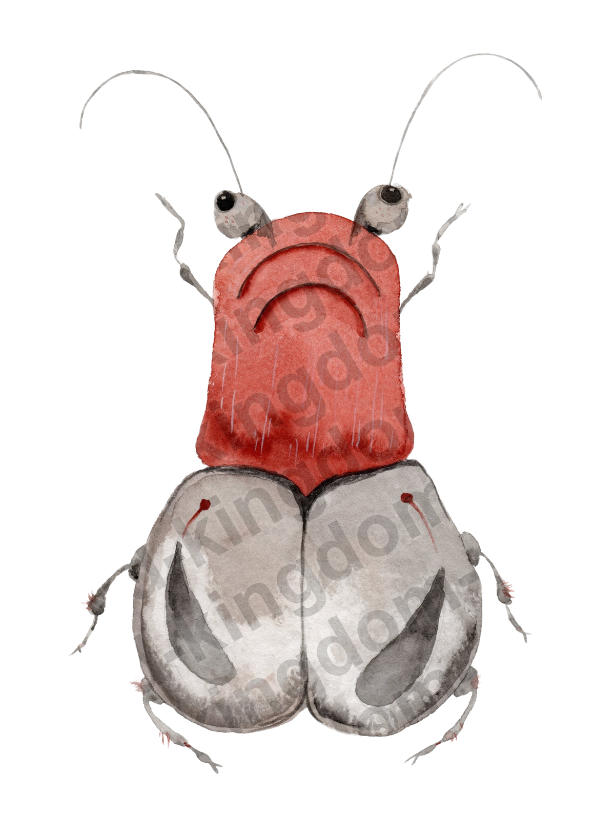 bug#0185 - card