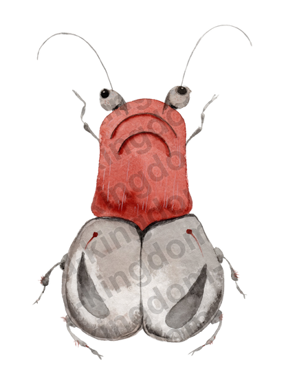 bug#0185 - card