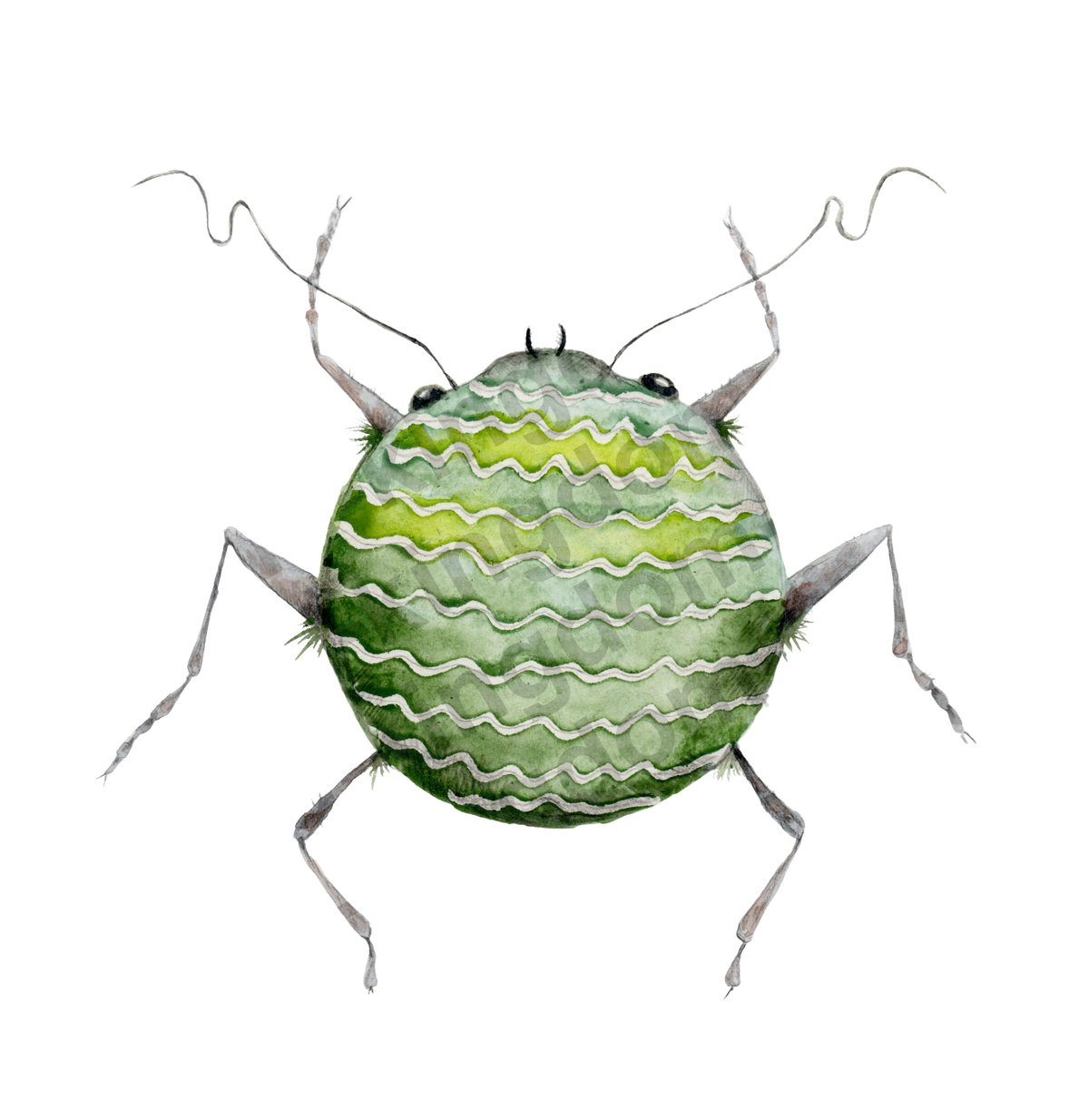 bug#0194 - card