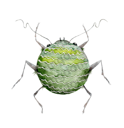 bug#0194 - card