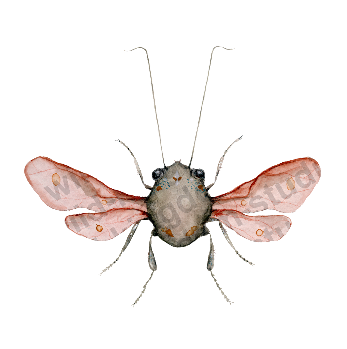 bug#0195 - card