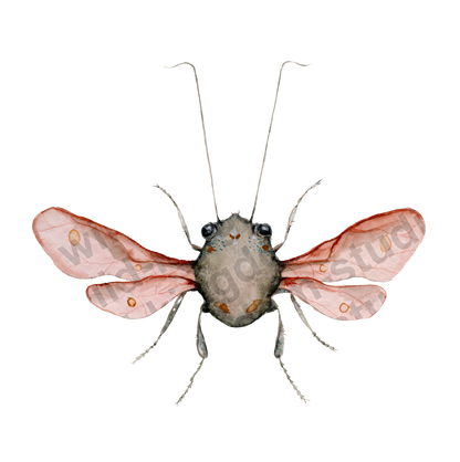 bug#0195 - card