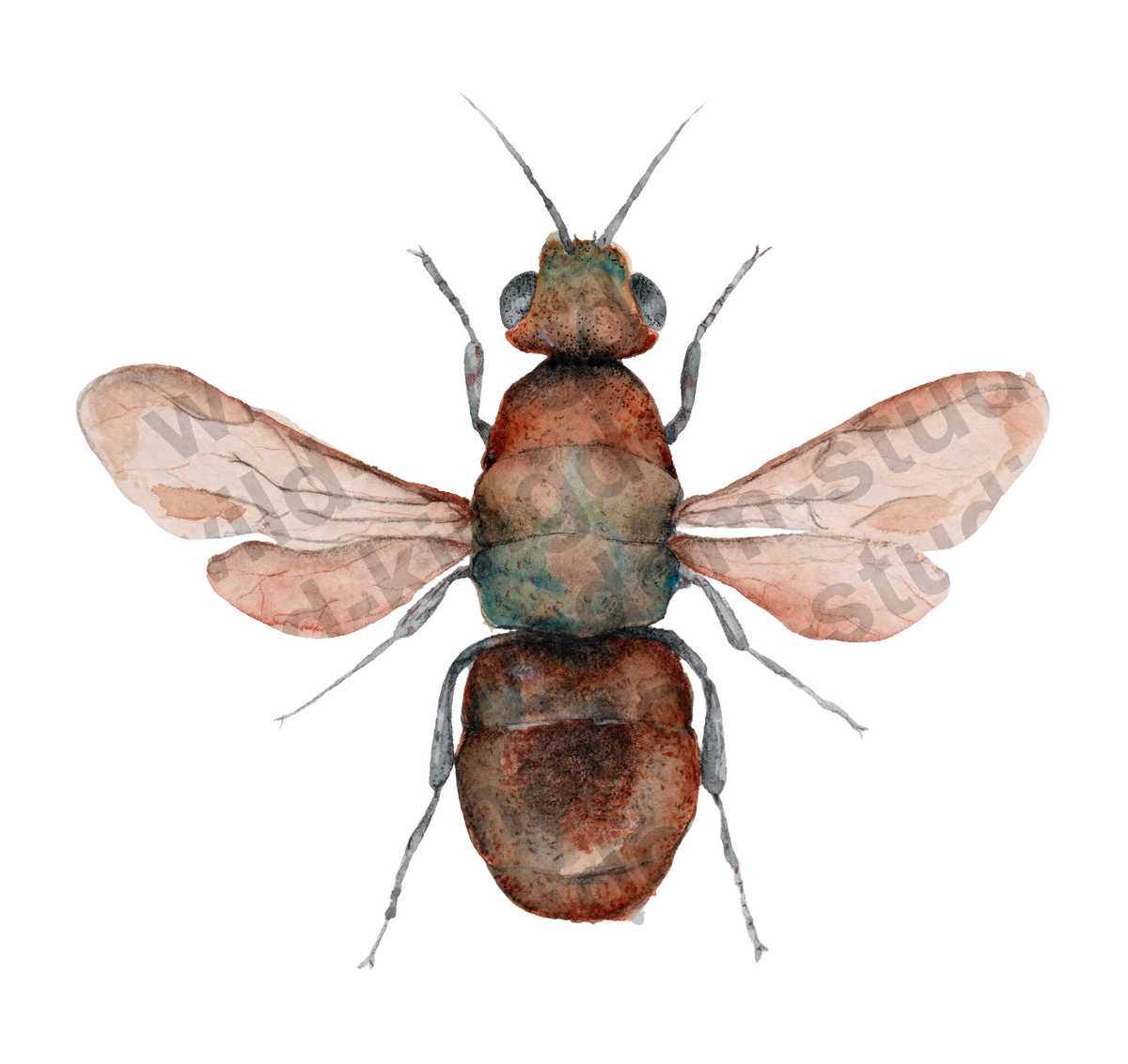 bug#0196 - card
