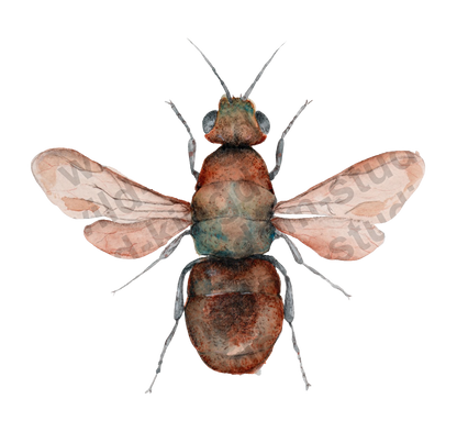 bug#0196 - card