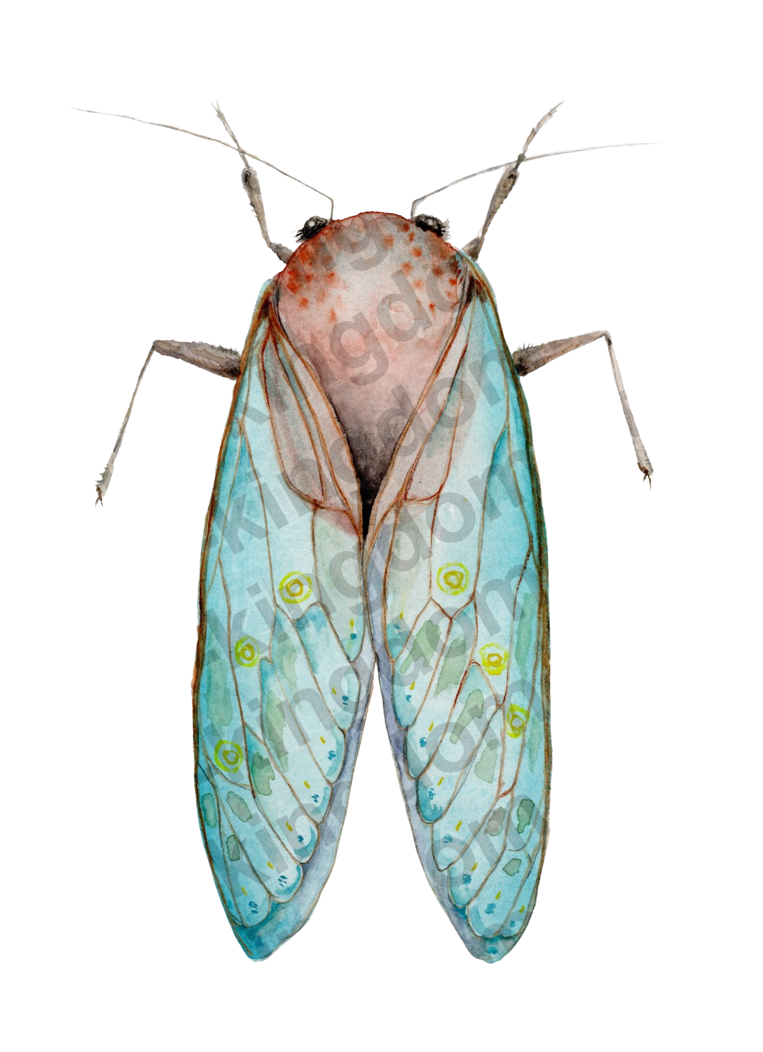 bug#0201 - card