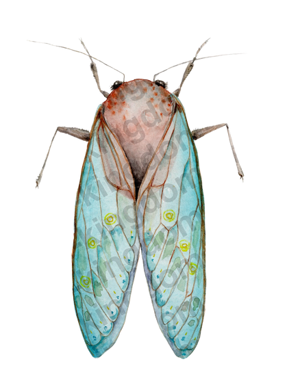 bug#0201 - card