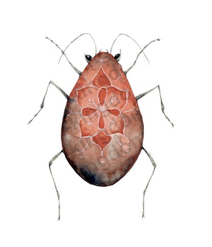 bug#0204 - card