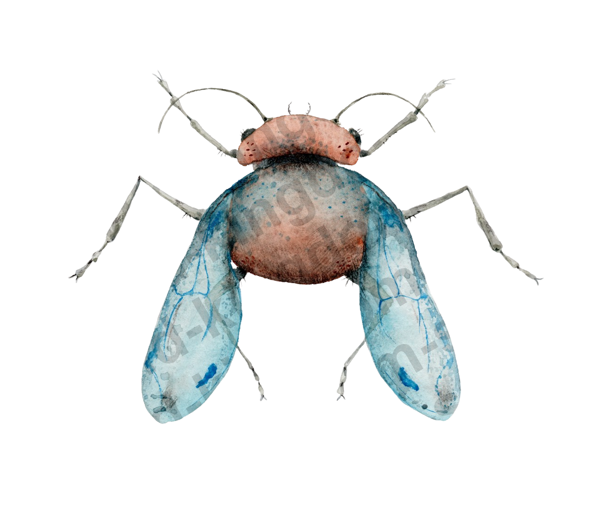 bug#0205 - card