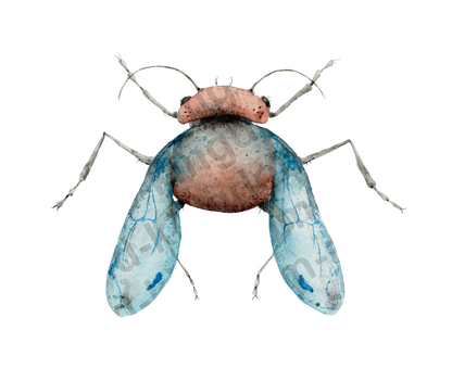 bug#0205 - card