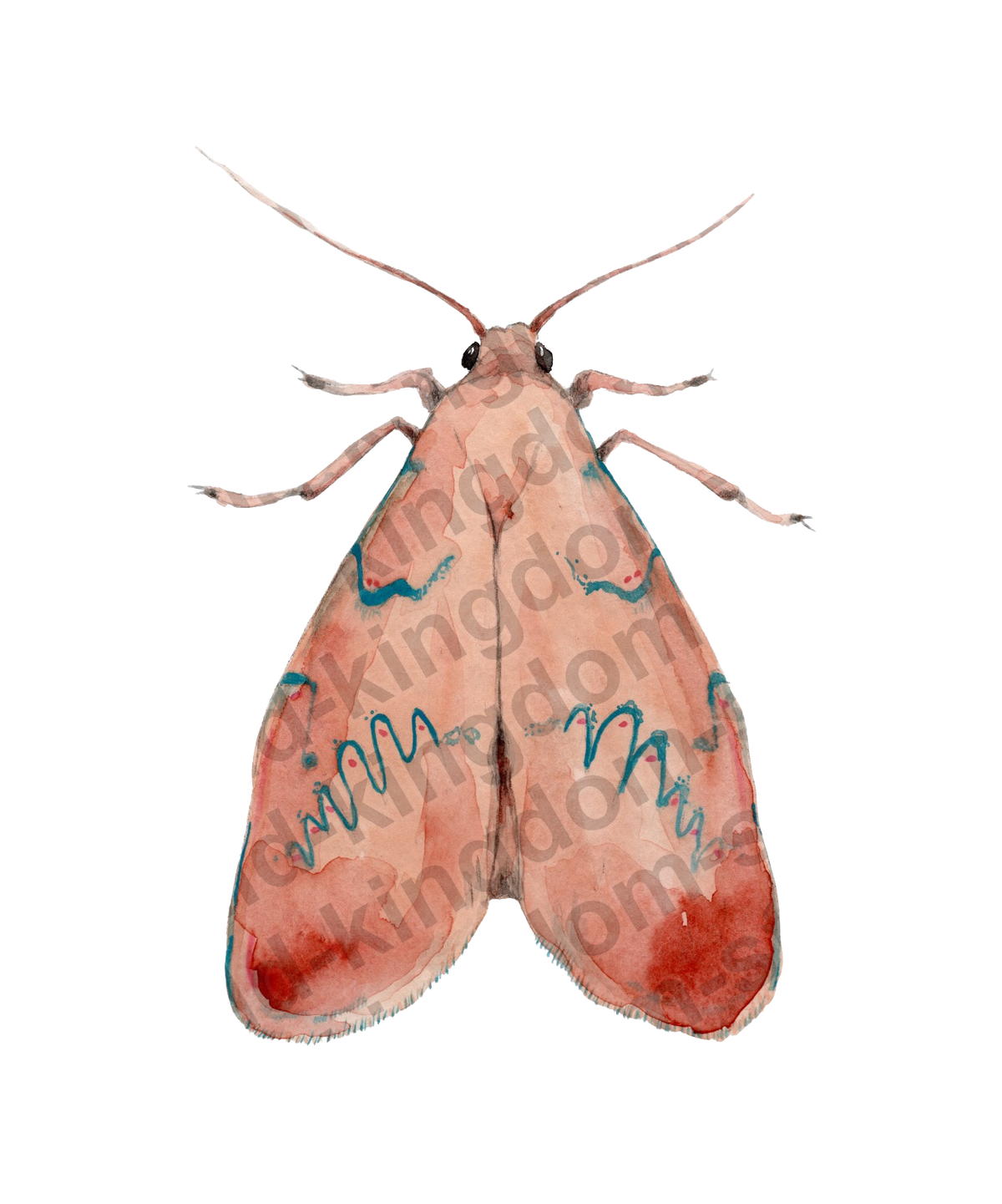 bug#0208 - card
