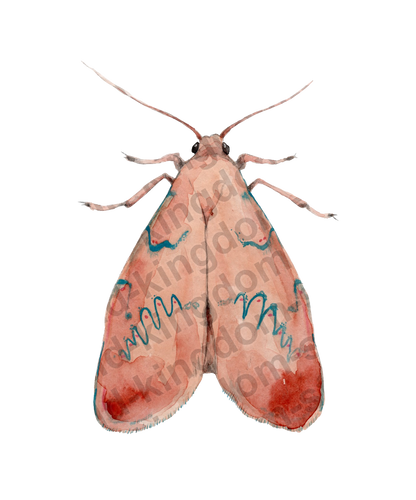 bug#0208 - card