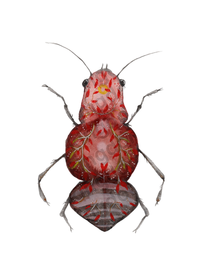 bug#0216 - card