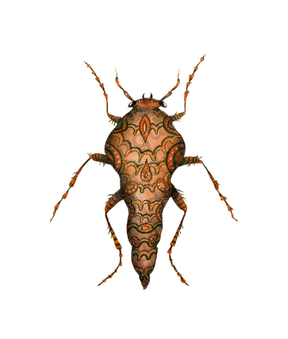 bug#0217 - card