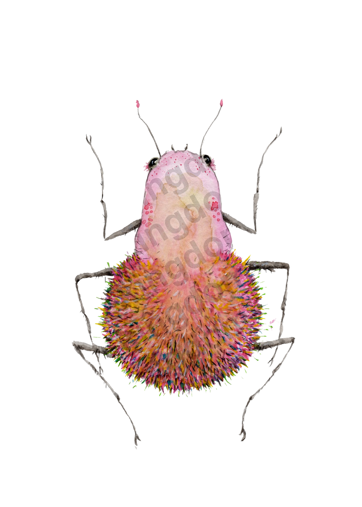 bug#0218 - card