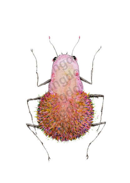 bug#0218 - card