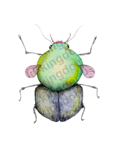 Madame Siggy