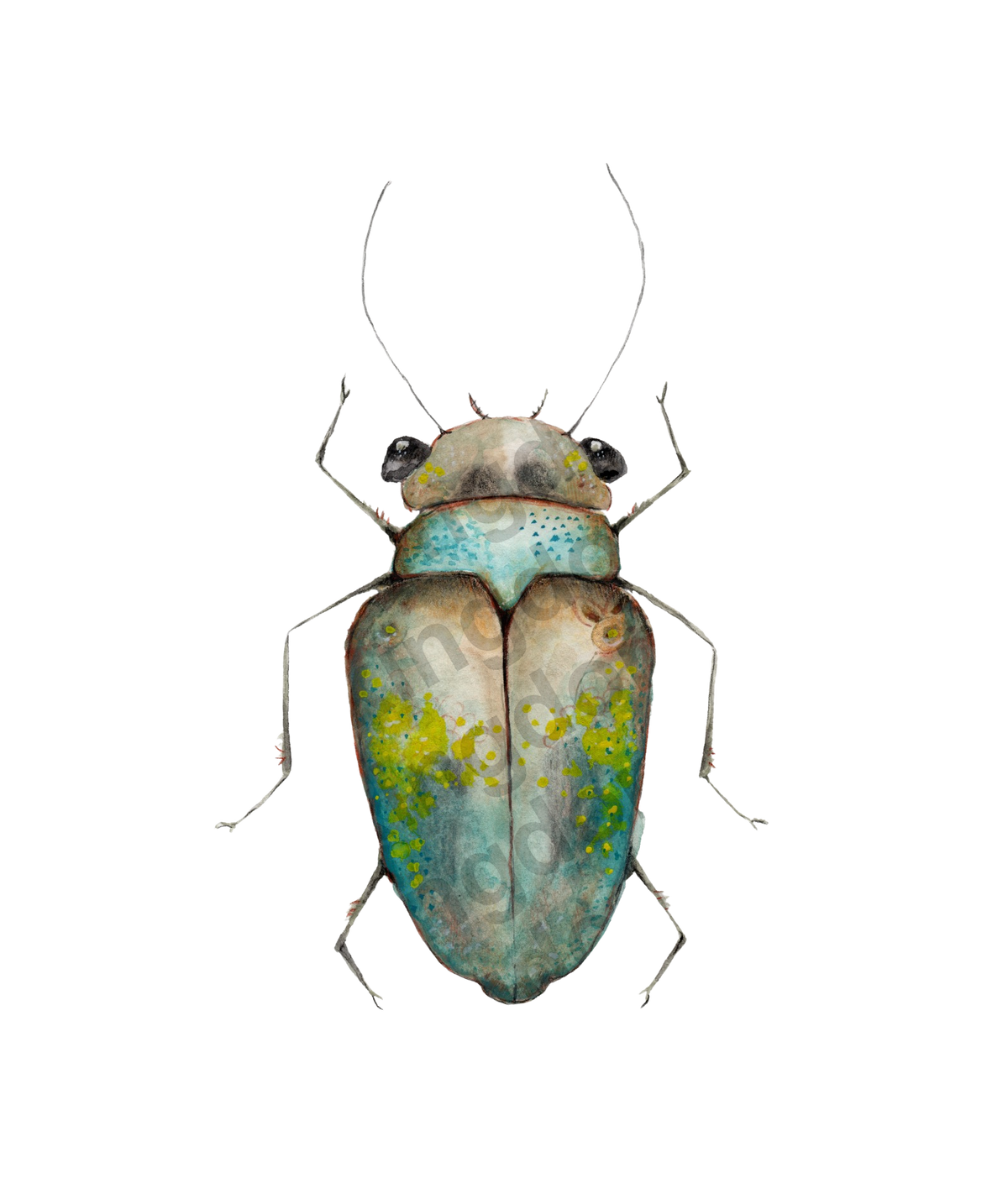bug#0224 - card