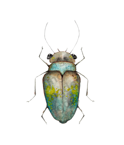 bug#0224 - card