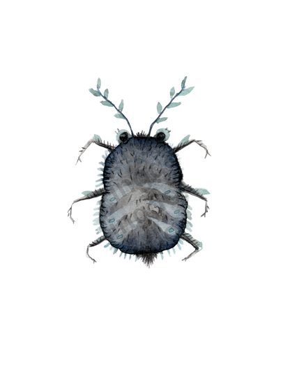 bug#0007 - card