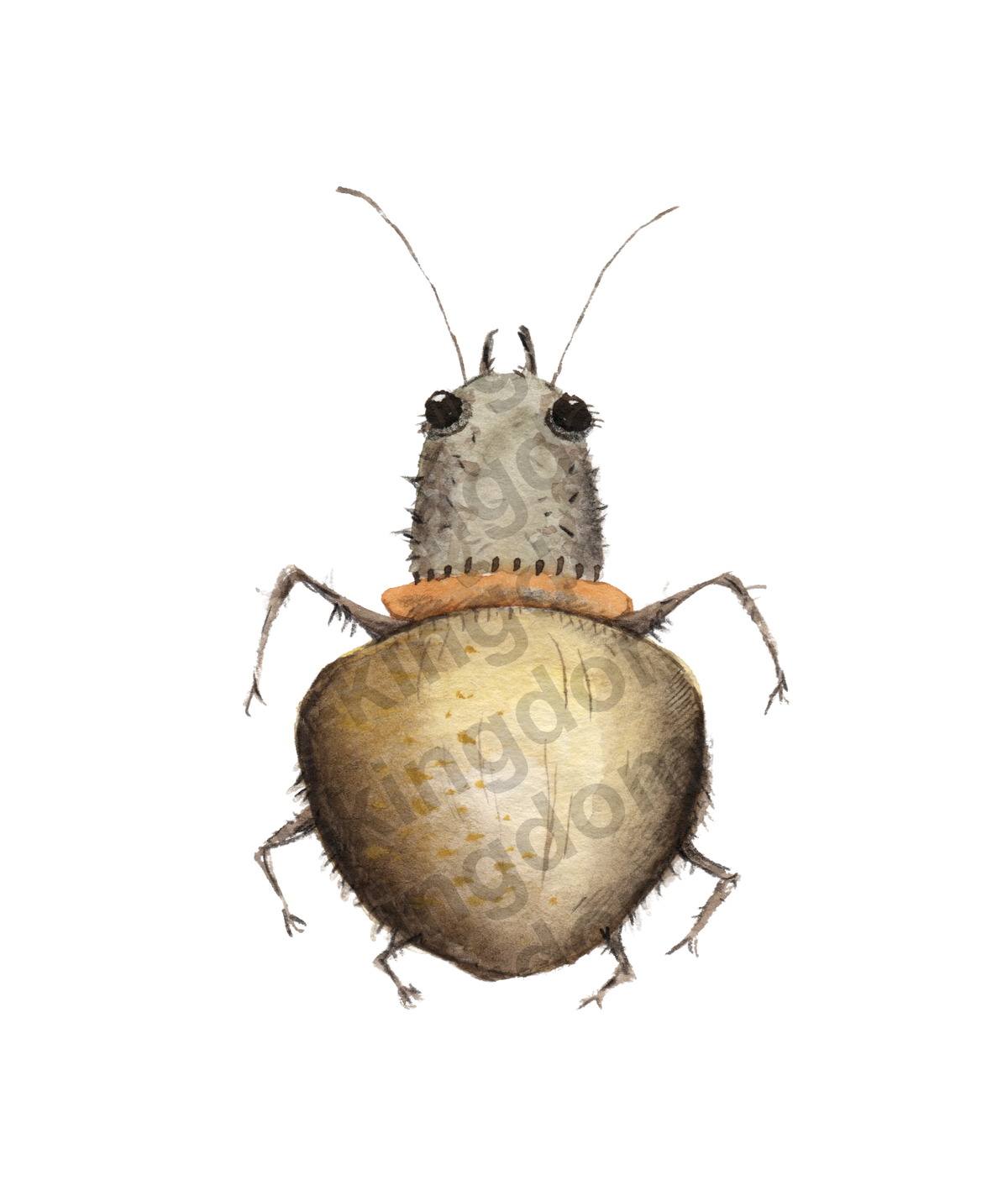 bug#0015 - card