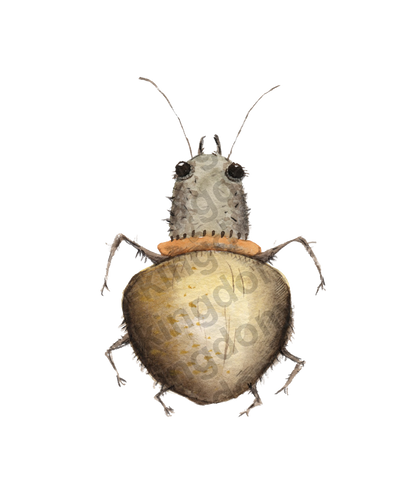 bug#0015 - card