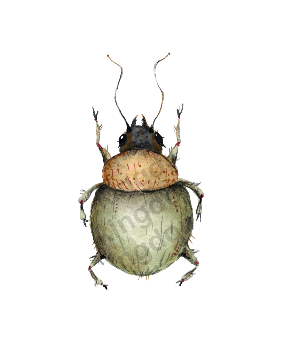 bug#0017 - card