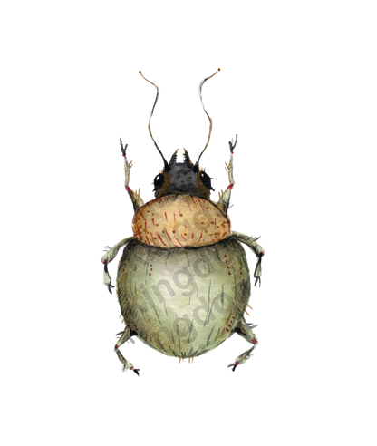 bug#0017 - card