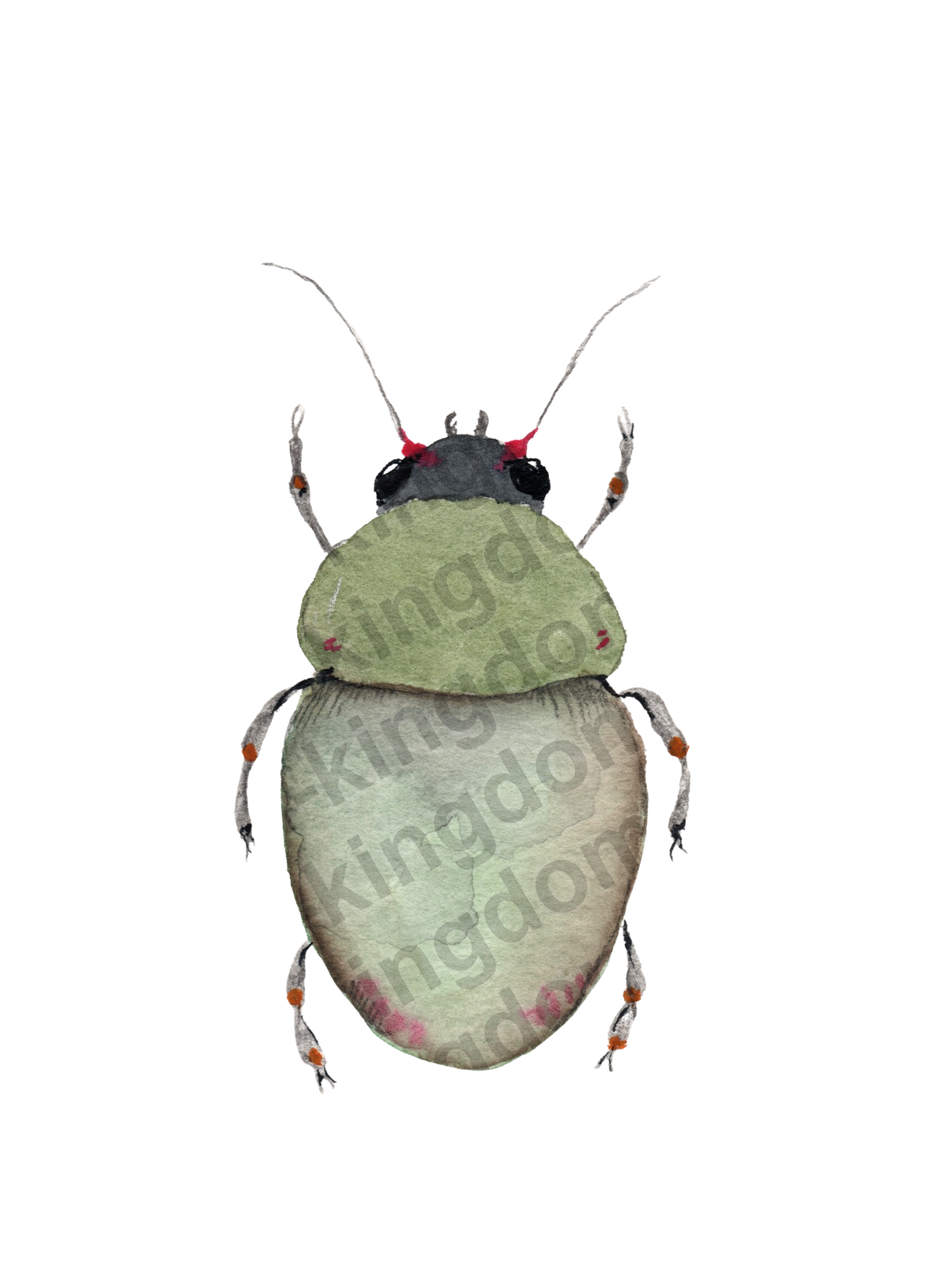 bug#0018 - card