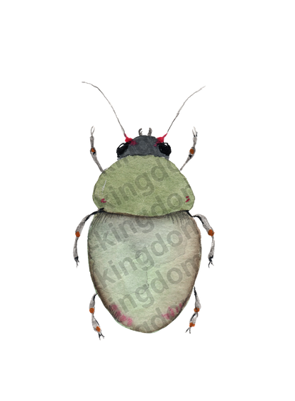 bug#0018 - card
