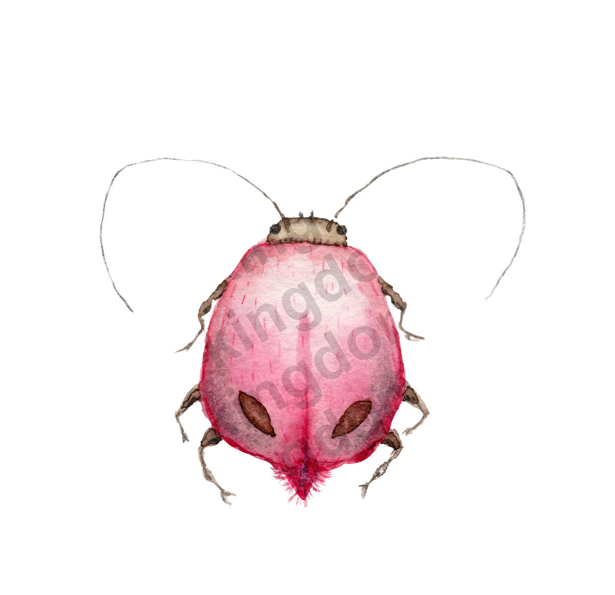 Rosie bug