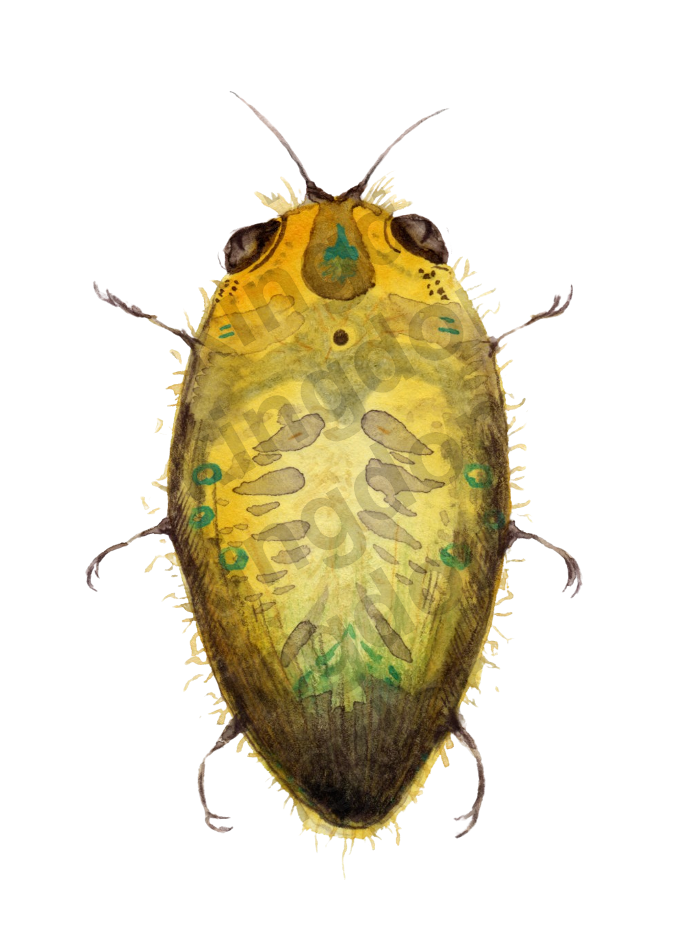 bug#0035 - card