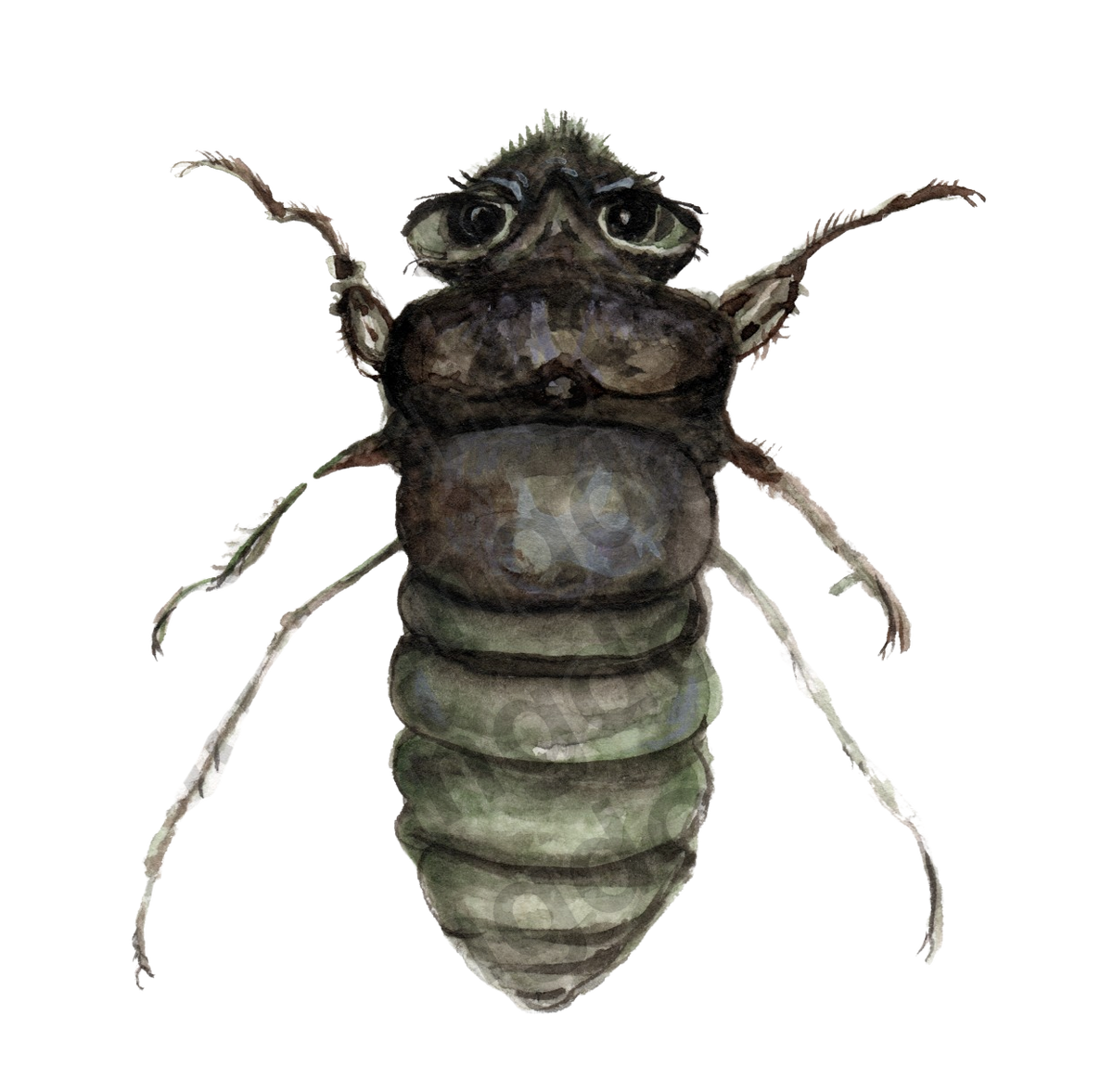 bug#0036 - card